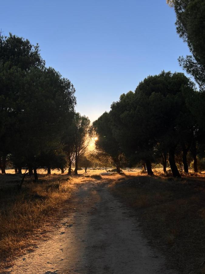Posada Rural La Resinera ลา อดราดา ภายนอก รูปภาพ