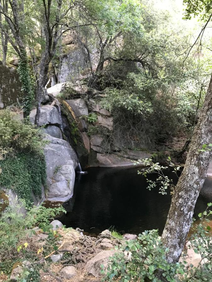 Posada Rural La Resinera ลา อดราดา ภายนอก รูปภาพ